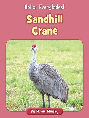 cover image of Sandhill Crane